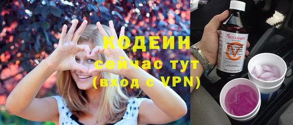 крисы Козловка