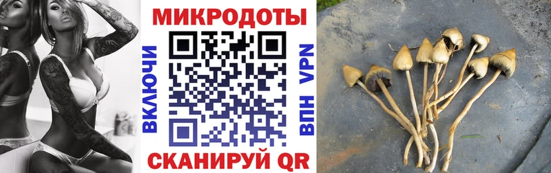 кракен вход  купить наркотики цена  shop формула  Галлюциногенные грибы прущие грибы  Щёлкино 